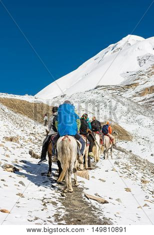 Group of people riding ponies across mountain pass. Thorong La in Nepal.