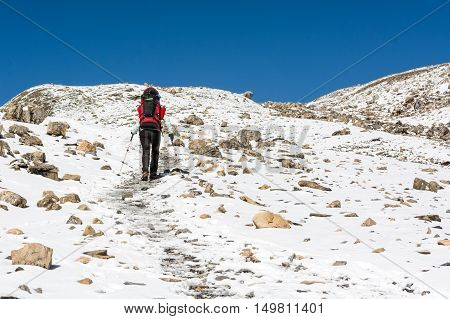 Female trekking in a snowy mountain landscape. Annapurna circuit reaching Thorong La pass.