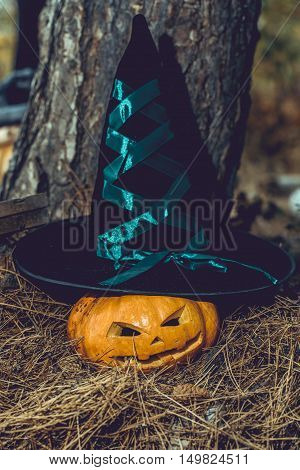 Halloween Pumpkin Background
