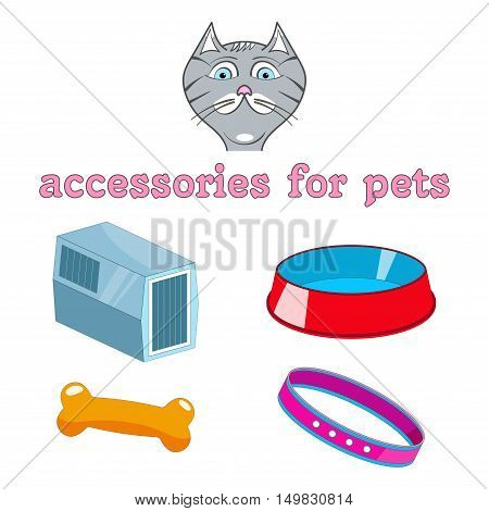 vector cartoon accessories for animals. Cat, bowl, collar, carrier animal, bone