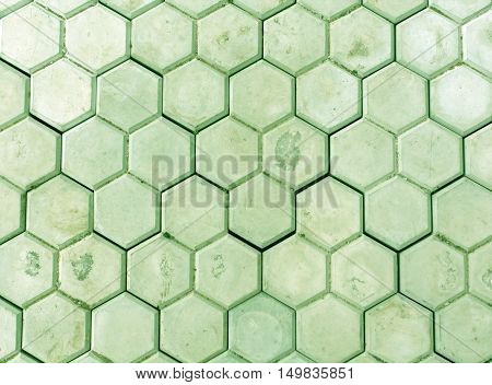 Green Pedastrian Walkway Close-up.