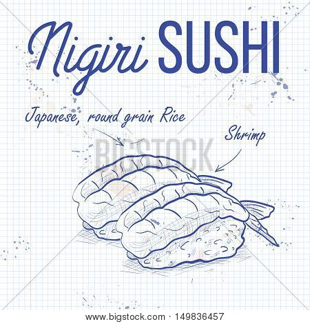 Vector nigiri sushi sketch, Ebi sushi on a notebook page