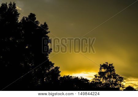 sunset light back nature outdoor beautiful orange
