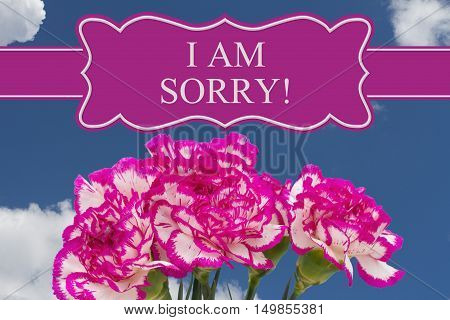 I am Sorry message with a Pink and White Peony Bouquet with a sky background