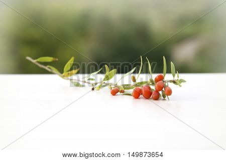 Detail of branch with goji berries, detox diet