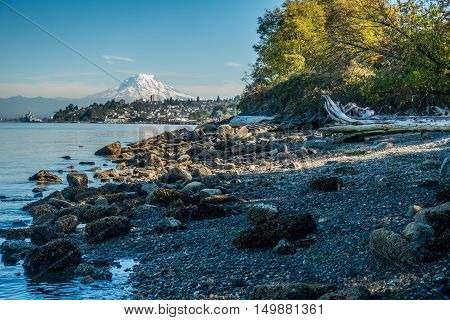 A view of Mount Rainier from Ruston Washington.