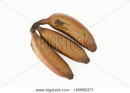 Red bananas -