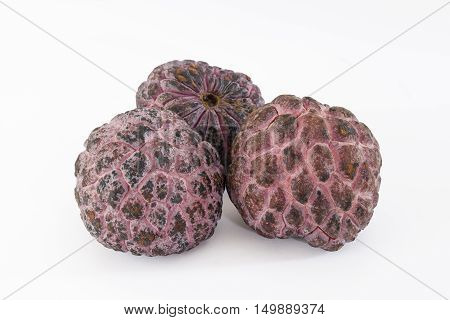 Red sugar apple 'Kampong mauve' (Annona squamosa)