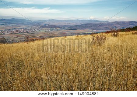 Meadow with tall dryed out grass in the autumn