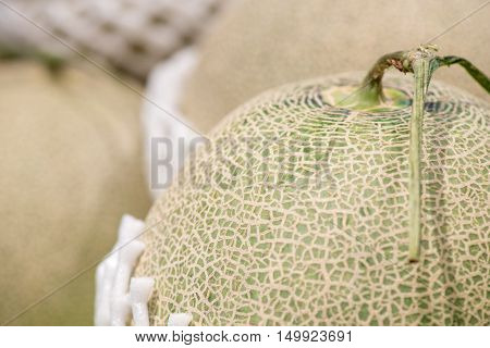 Close-up detail of multiple Japanese Yubari cantaloupes packaged in foam nets. Fruits background.