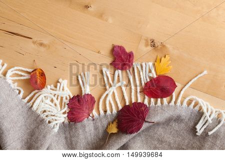 warm wool throw autumn red leaves on wooden background