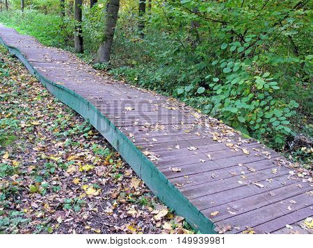 Autumn. Wooden walkway in the park. Nature.