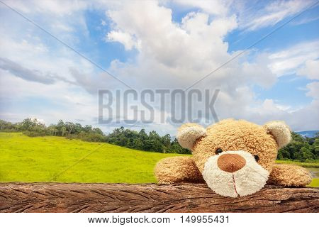 Teddy Bear was climbing the fence. The views behind a broad meadow.