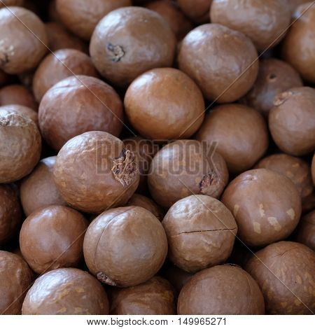 Macadamia nut background in the big  room