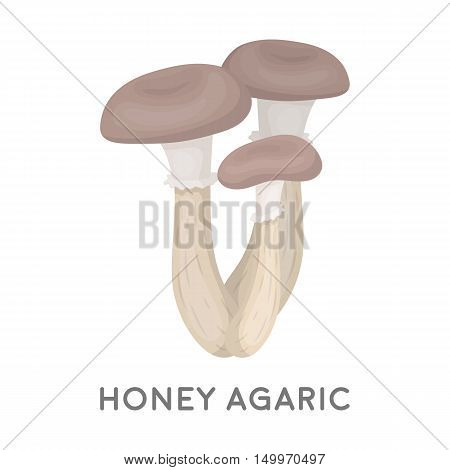 Honey agaric icon in cartoon style isolated on white background. Mushroom symbol vector illustration.