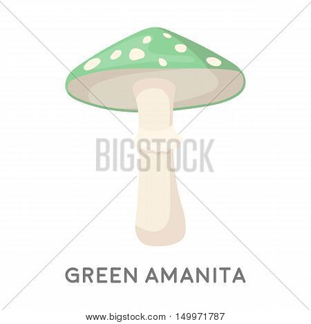 Green amanita icon in cartoon style isolated on white background. Mushroom symbol vector illustration.