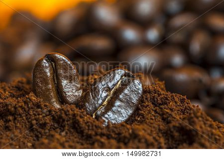 Coffee beans and ground coffee, close up.