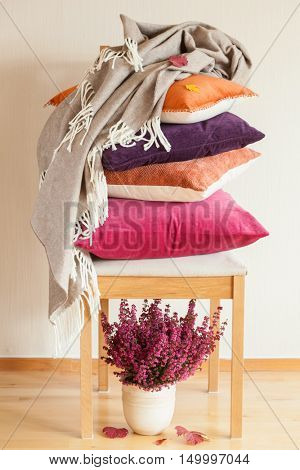 colorful cushions throw cozy home autumn mood flower leaf