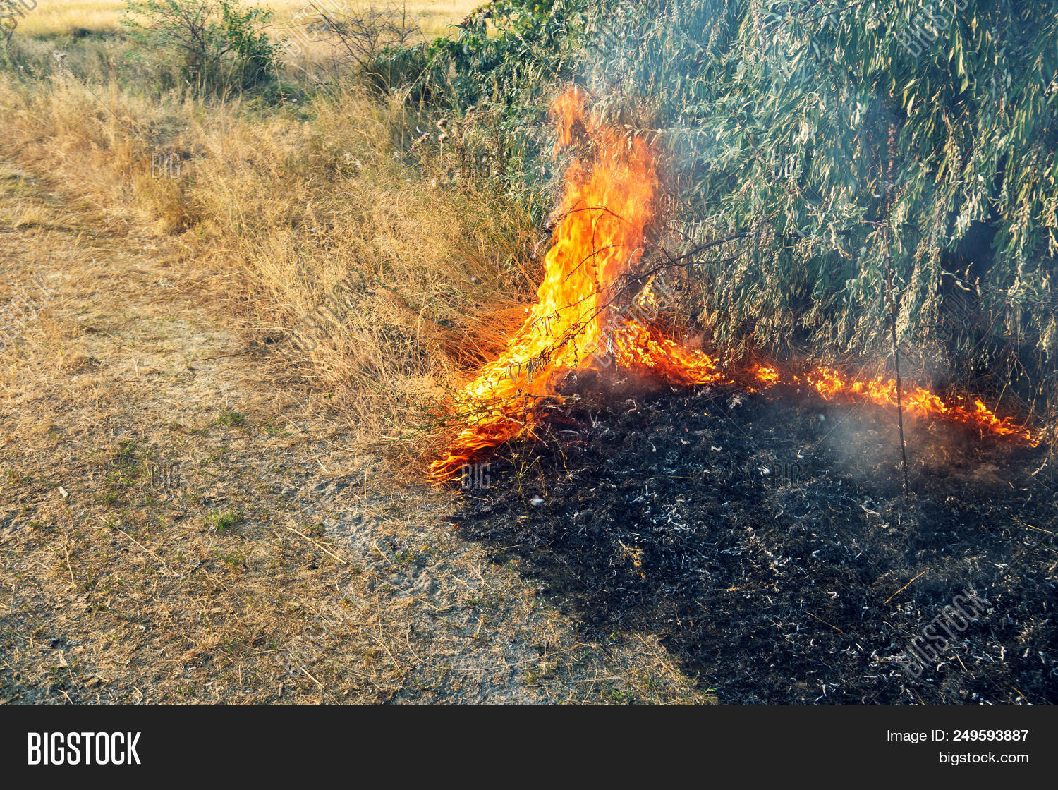 Сожженное поле. Обгоревшая трава. Дым на поле пожар. Burning fields. Бурн мтг.