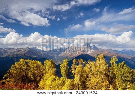 Autumn landscape. Top Ushba in clouds. Birch forest on the hillside. View from Mount Mkheer. Main Caucasian ridge. Zemo Svaneti, Georgia 