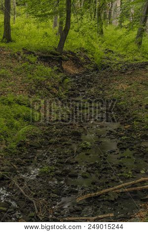 Usovicky Creek In Summer Day Near Marianske Lazne Town