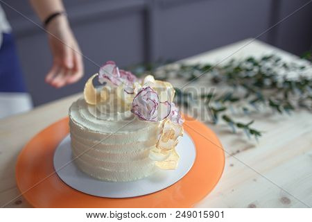 White Sponge Cake On Wooden Bright Table