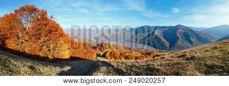 Autumn Carpathian Mountains Landscape With Multicolored Yellow-orange-red-brown Trees On Slope And  