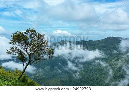Alone Tree On The Mountain Field During Mist Sunrise. Beautiful Natural Landscape In The Summer Time