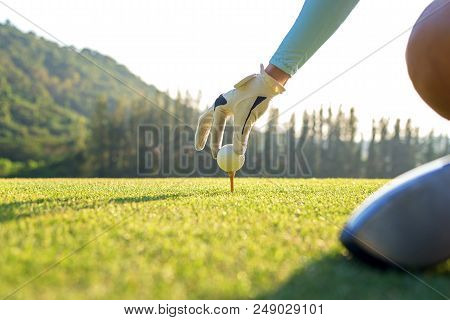 Hand Golfer Woman Putting Golf Ball On Tee With Club In Golf Course On Evening Time For Healthy Spor