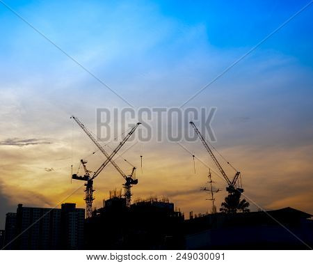 A Cranes Silhouette Style In The Evening