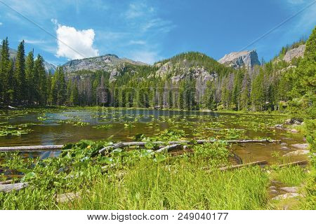 Scenic Nymph Lake In Rocky Mountain National Park. A Small, But Beautiful Lake That Is Accessible Vi