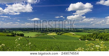 Bright Sunlight Warms The Green Crops And Grassland Of The Blackmore And Wardour Vales On The Dorset