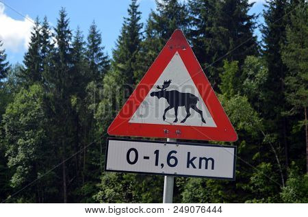 Moose warning sign. Road leading through the Scandinavian forest. Ostfold Region.Norway