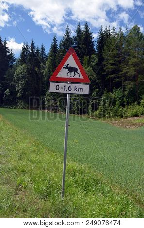 Moose warning sign. Road leading through the Scandinavian forest. Ostfold Region.Norway