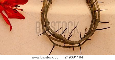 Crown Of Thorns And Orange Lily On Sand Background
