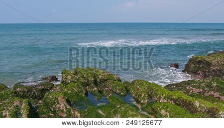 Green Reef in Laomei