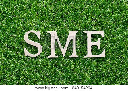 Wood Alphabet In Word Sme (abbreviation Of Small And Medium Sized Enterprises)on Artificial Green Gr