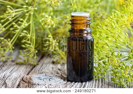A Bottle Of Dill Seed Oil With Fresh Blooming Anethum Graveolens Twigs