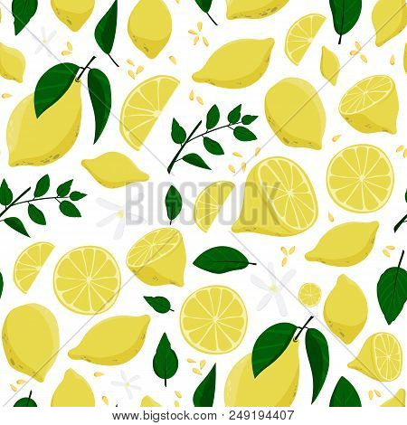 Seamless Lemon Pattern. Floral Background. Stock Vector
