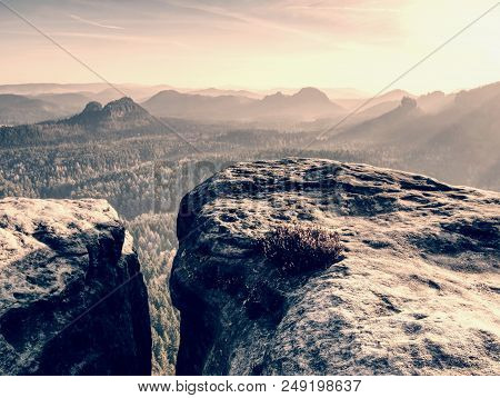 Autumn Sunrise. Deep Forest In A Beautiful Hilly Landscape Within Inversion Weather. Treetops Increa