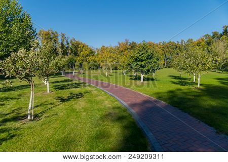 A Dodgy Promenade Park Road Against The Backdrop Of A Beautiful Green Area With A Variety Of Plants