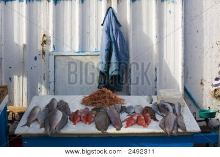 신선한 생선
