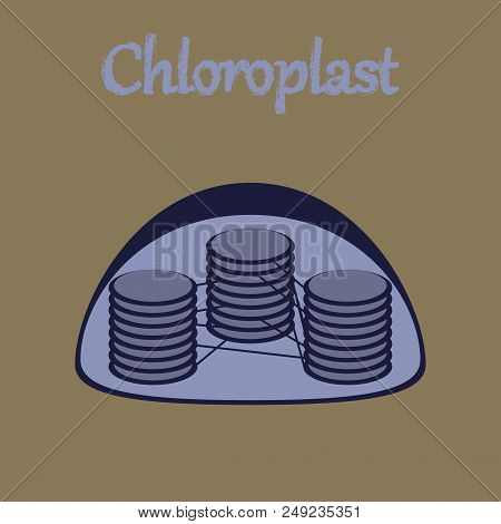 Icon In Flat Style Chloroplast Medical Logo