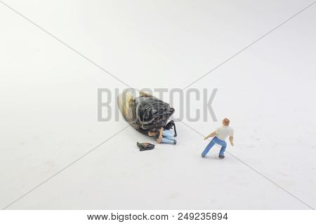 A Street Fight With The Monster Cicadidae