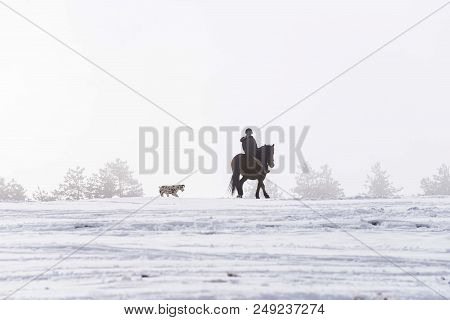 Girl Ridding Horse On Winter Snowy Weather