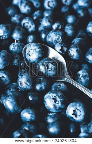 Fresh Blueberries Closeup View, Selective Focus, Toned Image. Freshly Picked Blueberry