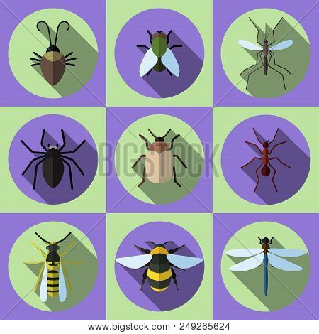 Insects Icons Set. 9 Flat Insects - Beetle, Fly, Spider, Bee And Other