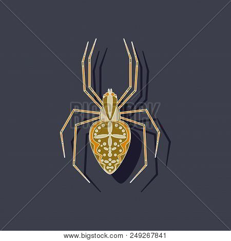 Paper Sticker On Stylish Background Of Araneus