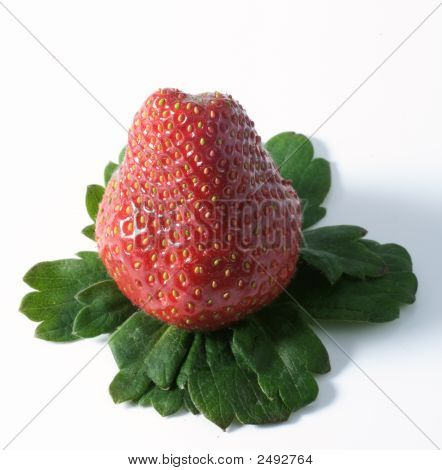 Aardbei