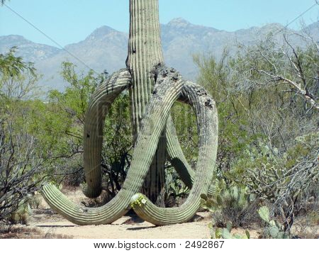 Overacheiver เหนื่อย